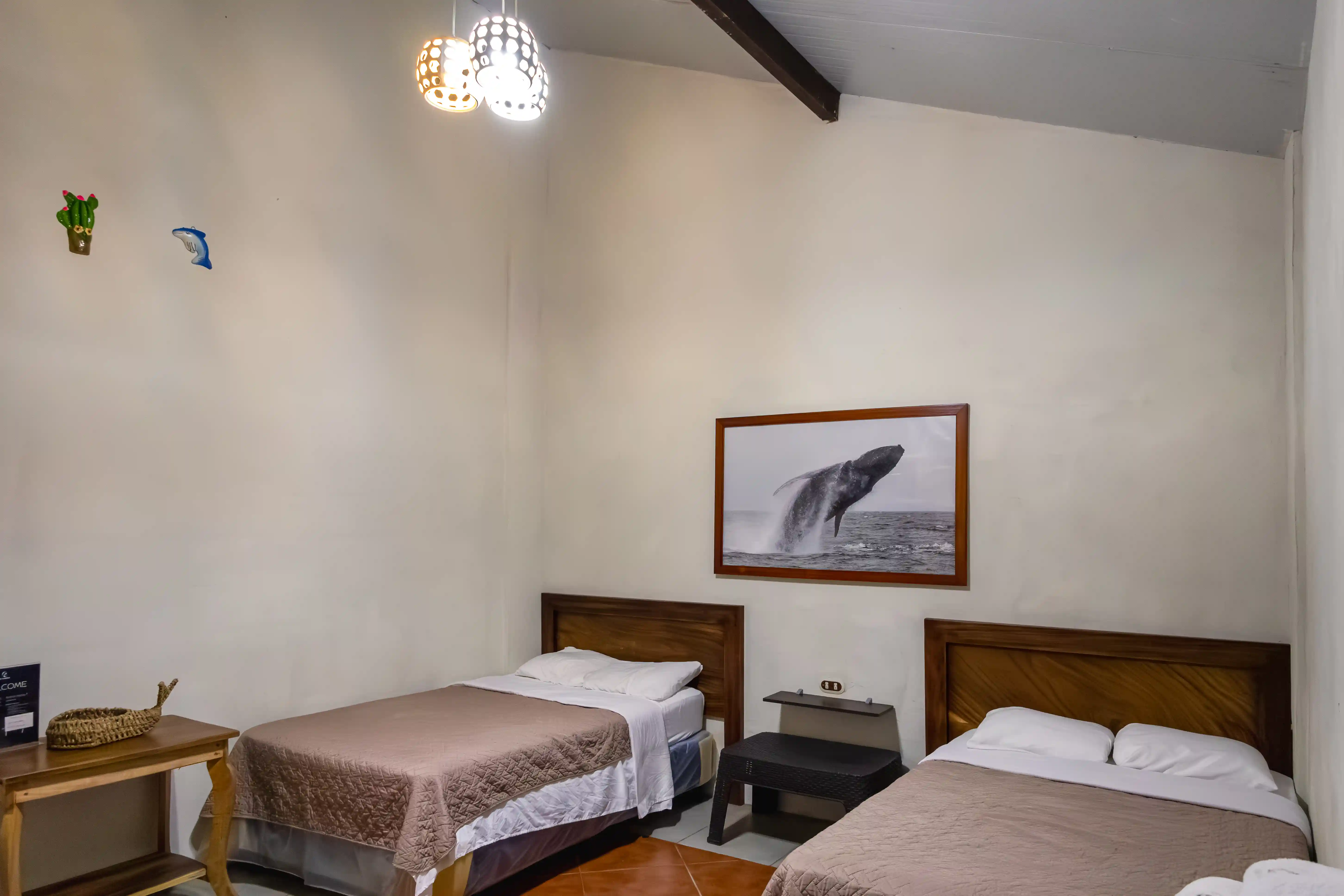 El Dorado Apartamento 1